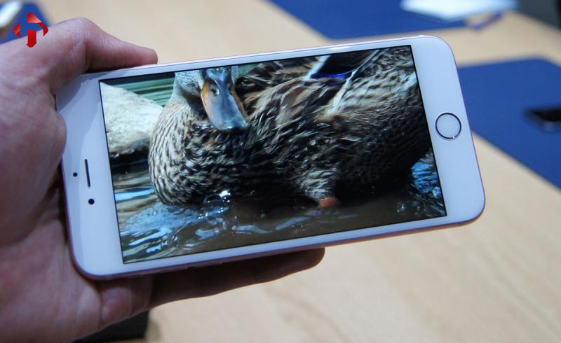 Hiển thị hình ảnh trên iPhone 6s Plus CPo